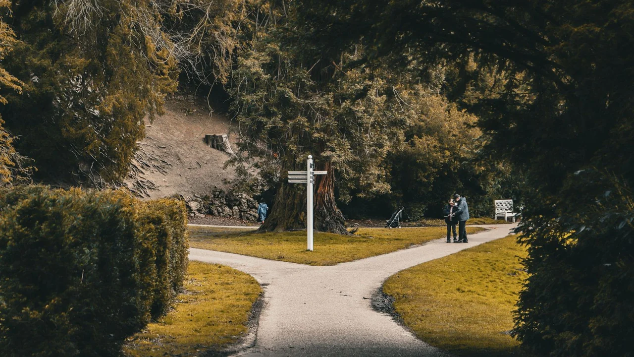 A path curving through a quiet park